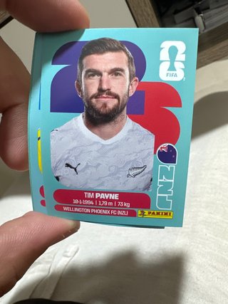 Cromo Tim Payne Mundial Panini