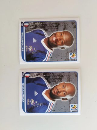 Francia Mundial 2010