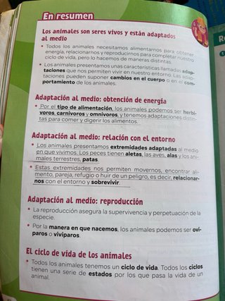 Revuela 3 primaria conocimiento del medio ed. SM