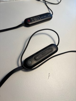 Sony WI-C100 Auriculares Inalámbricos