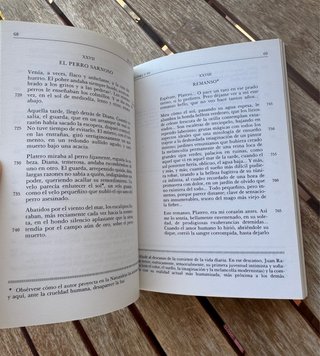 Libro Platero y yo