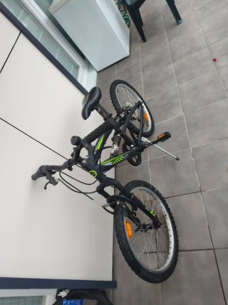Bicicleta infantil Woodsun
