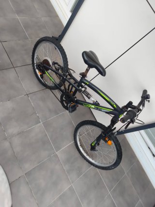 Bicicleta infantil Woodsun