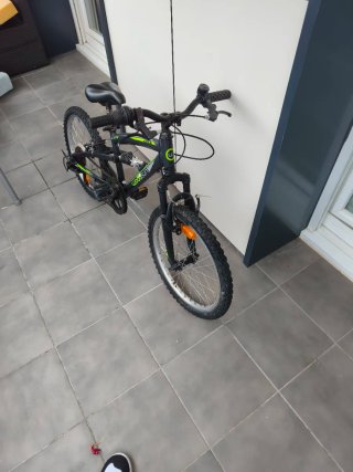Bicicleta infantil Woodsun