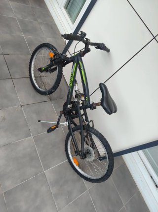 Bicicleta infantil Woodsun