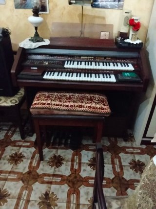 Organo e Pianola