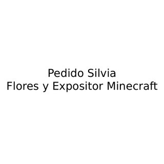 Pedido Silvia Flores y Expositor Minecraft