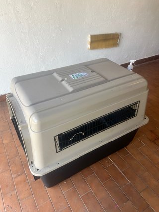 Trasportino cane XL per viaggio aereo