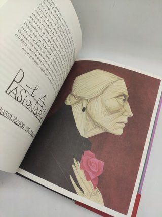 Pelea como una chica libro Ana Juan