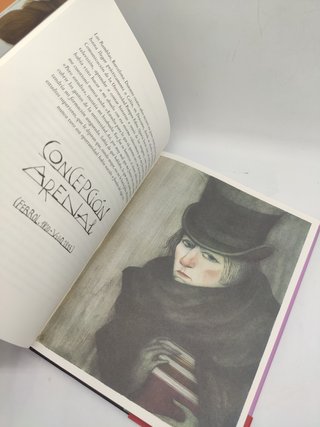 Pelea como una chica libro Ana Juan