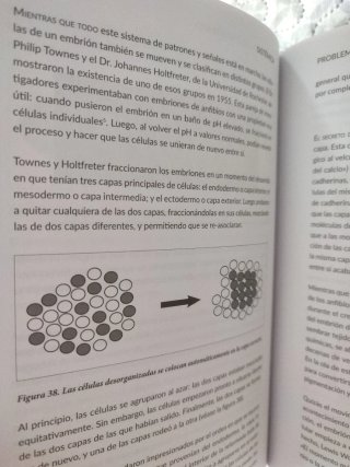 Sistémica