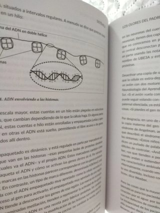 Sistémica