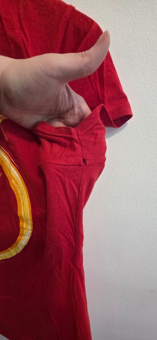 Camiseta The Flash DC Comics Roja Mujer