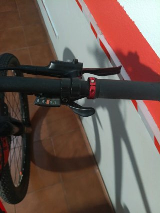 Bicicleta de Montaña