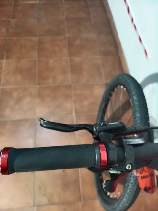 Bicicleta de Montaña