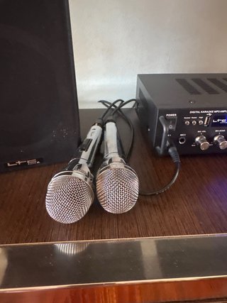 Karaoke con 2 micrófonos y Bluetooth