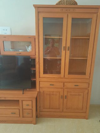 Mueble de salón madera, solo el mueble