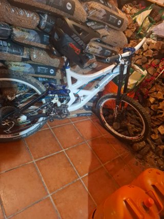 Bicicleta de Descenso Specialized Demo