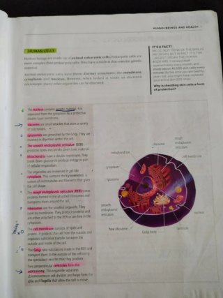 Biology and Geology Learn and Take action 3º ESO