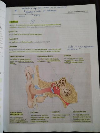 Biology and Geology Learn and Take action 3º ESO