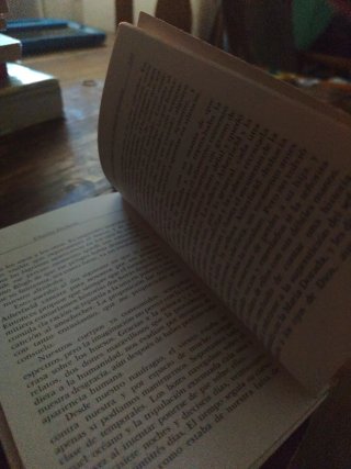 Cuentos de navidad libro