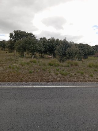Se acen limpieza de fincas casa zz