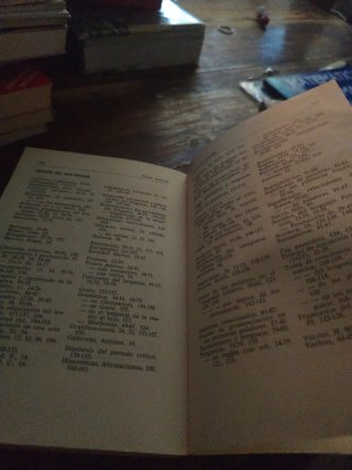 Libro primer lenguaje