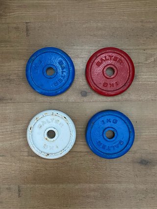 Discos de Pesas Salter 1kg (4 unidades)