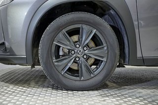 Lexus UX   2.0 250h Business