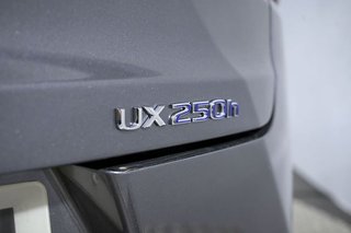 Lexus UX   2.0 250h Business