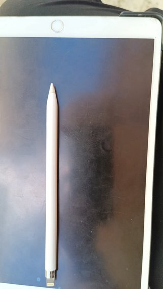 iPad Pro 2019 + Apple Pencil