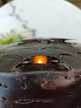 Owl lantern