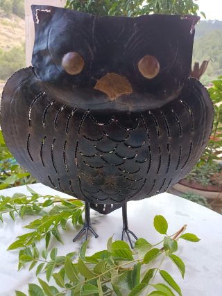 Owl lantern