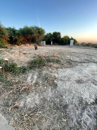 Parcela Urbana en Vejer
