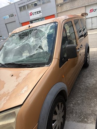 Ford Tourneo Connect 2007
