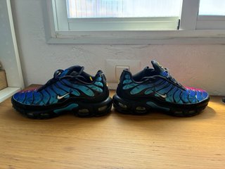 Nike Air TN Azul y Rosa