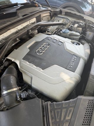 Audi Q5 2010