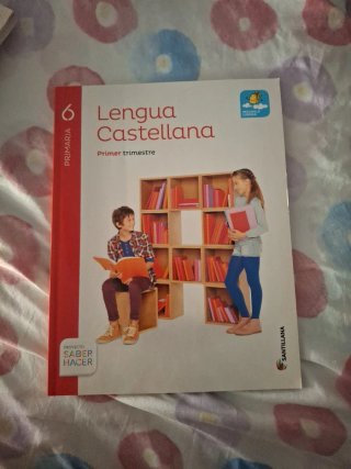 Libro 6 primaria