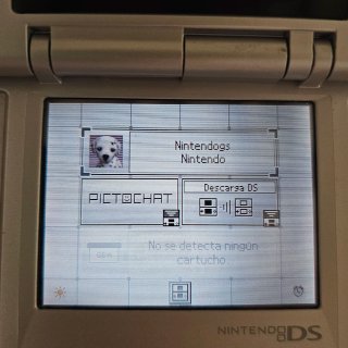 Nintendogs Dalmatian & Friends Nintendo DS