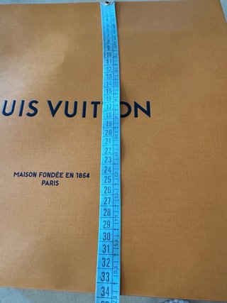 Busta Louis Vuitton Arancione Originale