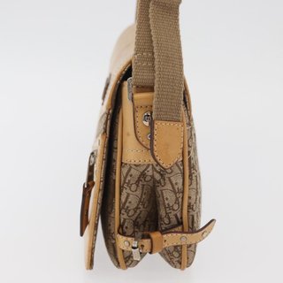 Christian Dior Trotter Canvas Street Chic