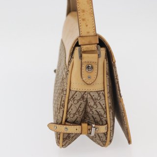 Christian Dior Trotter Canvas Street Chic