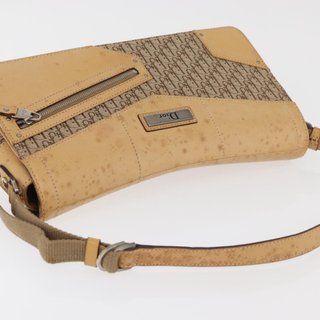 Christian Dior Trotter Canvas Street Chic