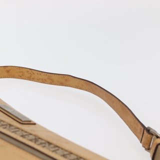 Christian Dior Trotter Canvas Street Chic