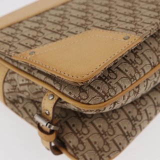 Christian Dior Trotter Canvas Street Chic