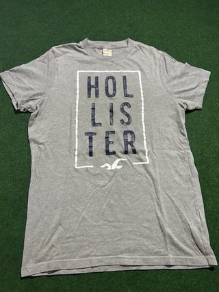 Camiseta Hollister Gris