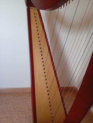 Arpa Camac Telenn 34 cuerdas tripa. Caoba. Funda.