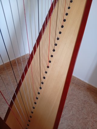 Arpa Camac Telenn 34 cuerdas tripa. Caoba. Funda.