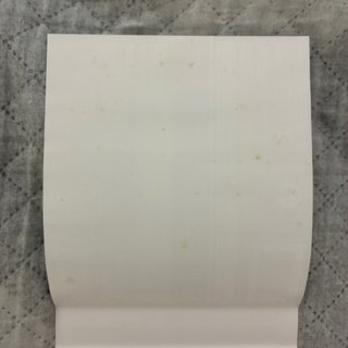 Pokémon Edición Plata SoulSilver