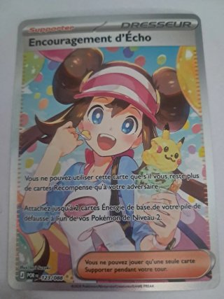 Pokemon card Encouragement d'Écho